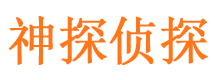 河东侦探公司